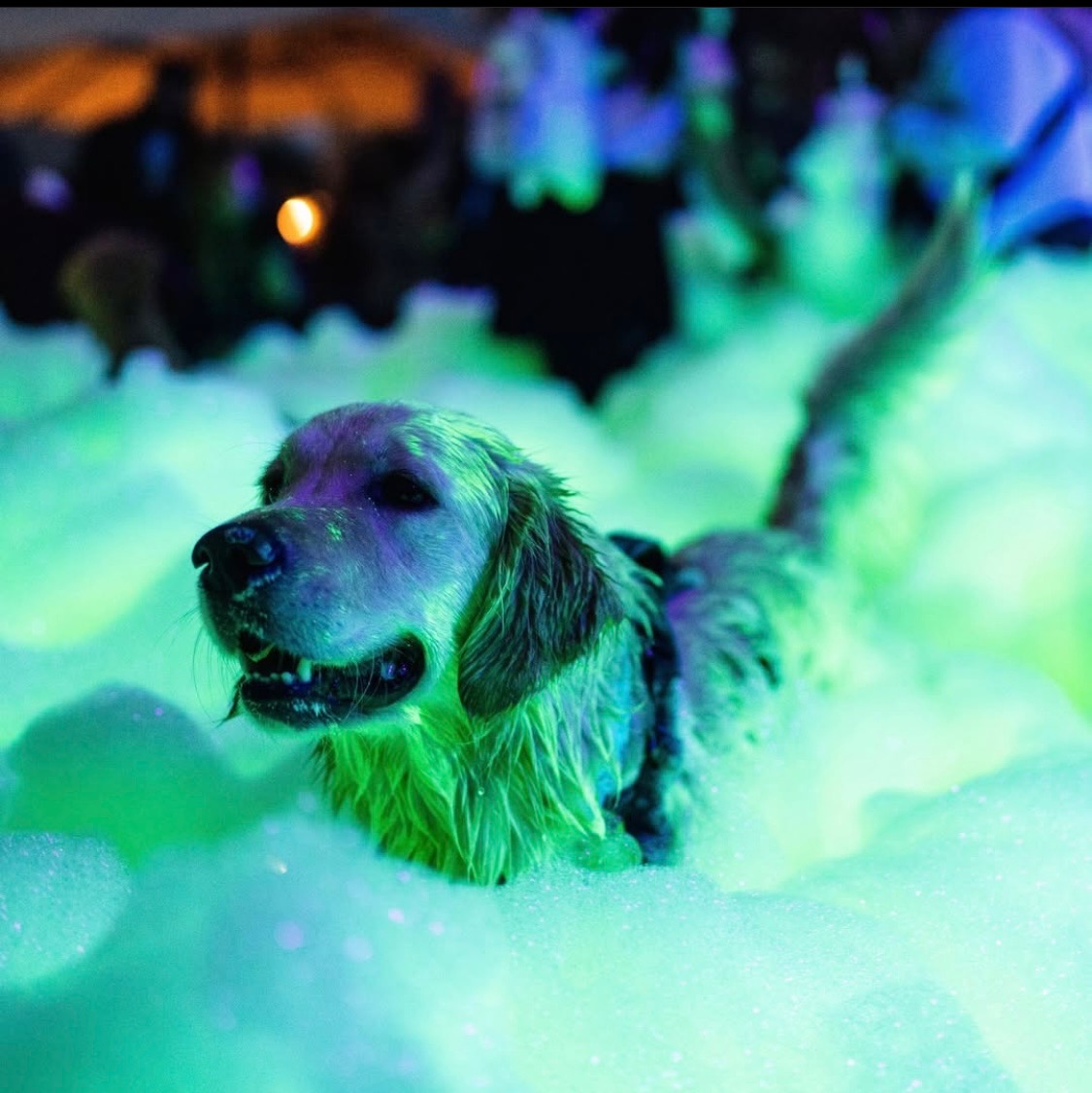 Fun for the whole family - Central Florida Foam Parties foam party rentals Longwood, FL